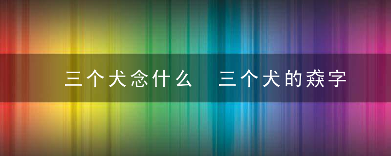 三个犬念什么 三个犬的猋字是什么意思